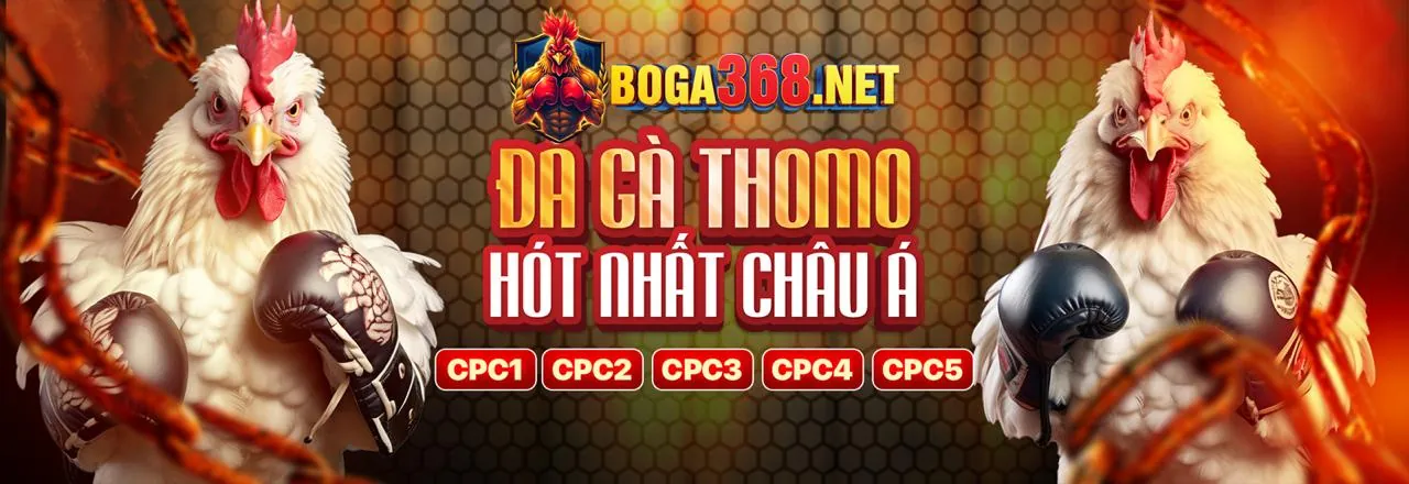 Đá gà trực tuyến 78winok